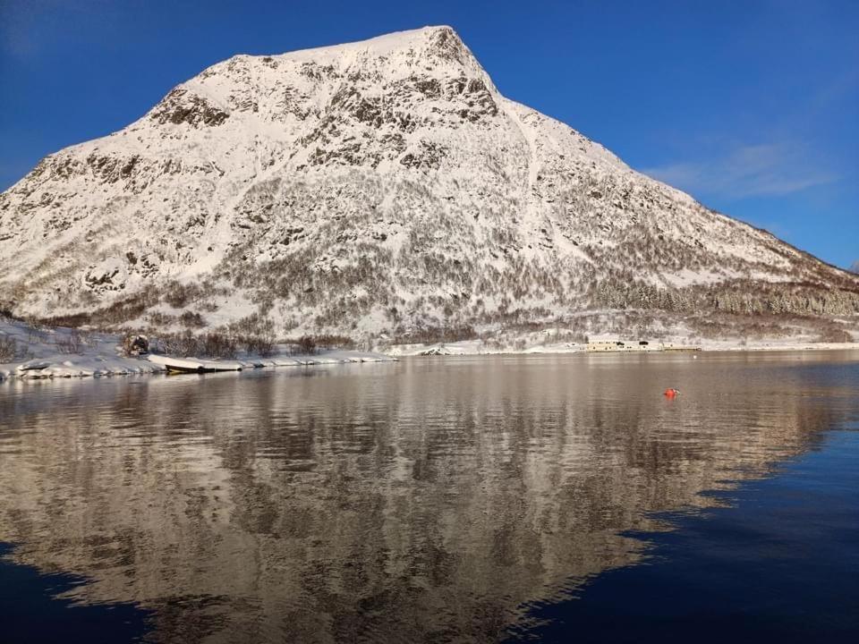 Hammerstad Camping Svolvær Exterior foto